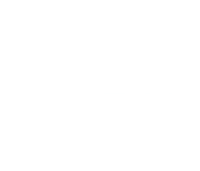 raylyn realty logo on a black background